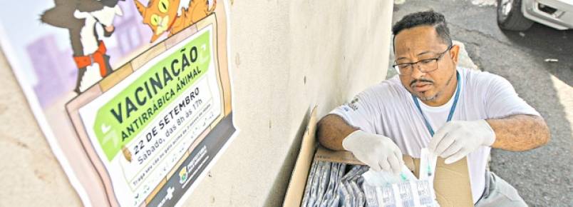 Raiva ameaça 170 mil cães e gatos em BH; baixa cobertura vacinal obriga PBH a estender campanha